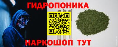 бошки Новокубанск